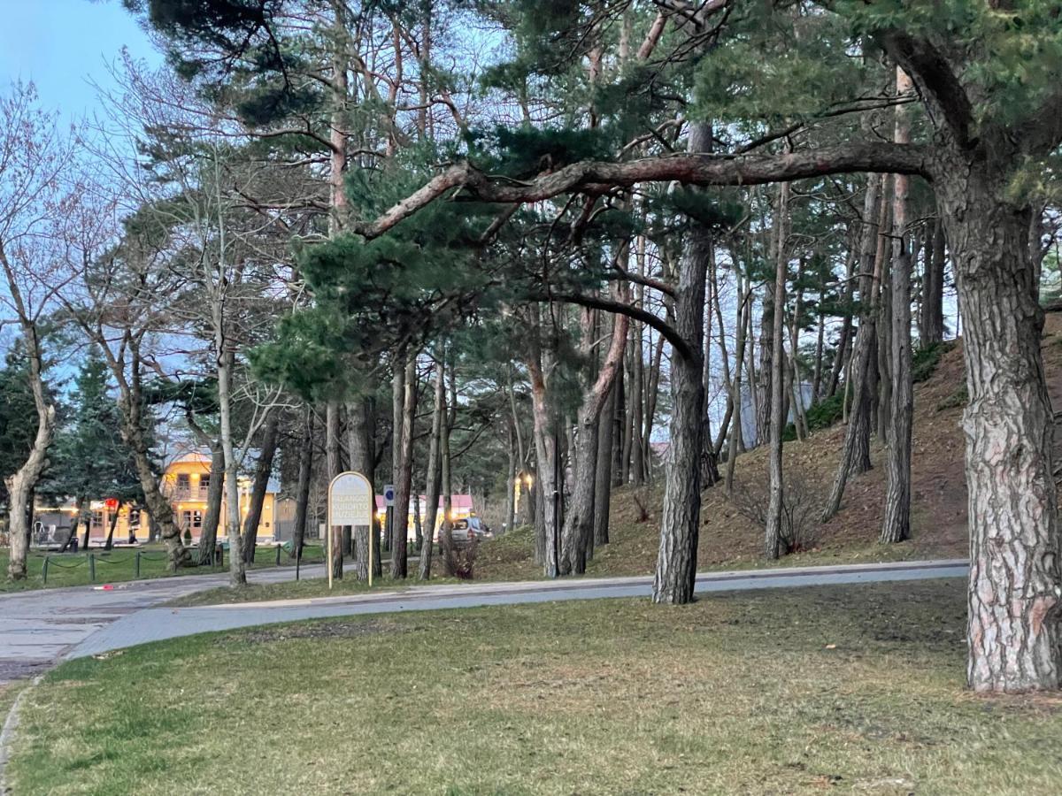Daukanto Apartmentas Palanga Exterior foto